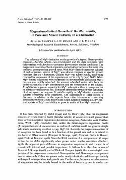 Magnesium-limited Growth of Bacillus subtilis, in Pure