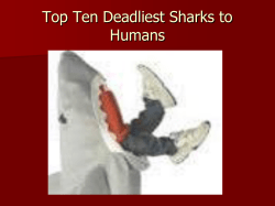 The Lemon Shark is ranked as #10 mostly due to it`s sense of sight