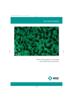 22796 MSD Yeast Bro