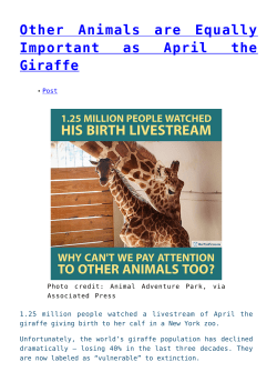 Other Animals are Equally Important as April the Giraffe