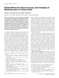 Moerner - American Chemical Society