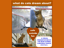 CATMAX CABOODLES