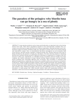 The paradox of the pelagics: why bluefin tuna can go hungry in a