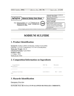 SODIUM SULFIDE