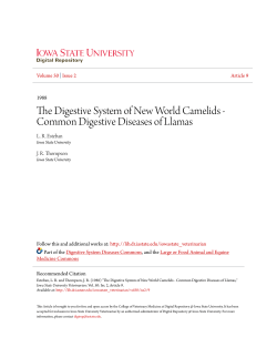 The Digestive System of New World Camelids