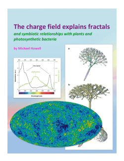 The Charge Field explains Fractals.