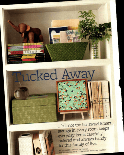 Organizing the Lokken home