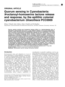 Quorum sensing in Cyanobacteria: N-octanoyl-homoserine