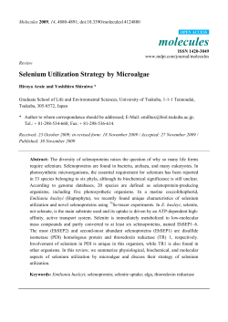 Selenium Utilization Strategy by Microalgae