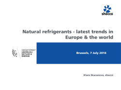 Flemish_Klara_shecco_7 July