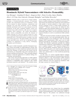 Biomimetic Hybrid Nanocontainers with Selective Permeability