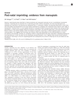 Post-natal imprinting: evidence from marsupials