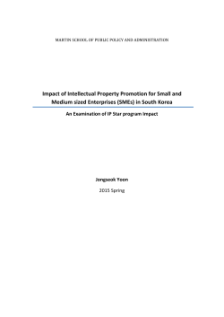 Impact of Intellectual Property Promotion for Small and Medium
