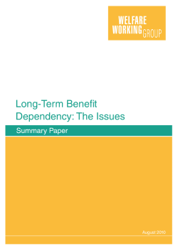 the Summary Issues Paper - Institute for Governance and