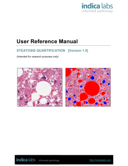 User Reference Manual