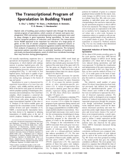 The Transcriptional Program of Sporulation in Budding Yeast