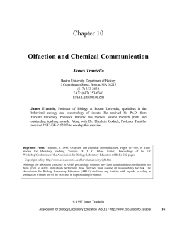 Olfaction and Chemical Communication