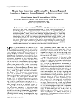 Meiotic Gene Conversion and Crossing Over
