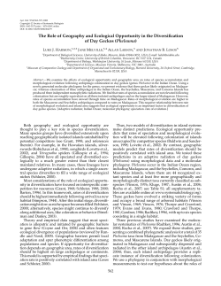 The Role of Geography and Ecological Opportunity in the