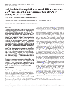 Insights into the regulation of small RNA expression: SarA represses