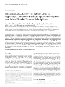 Enhancing GABAA Receptor 1 Subunit Levels in Hippocampal