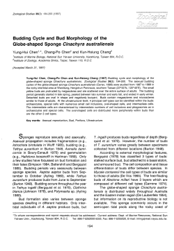 P D F - Zoological Studies