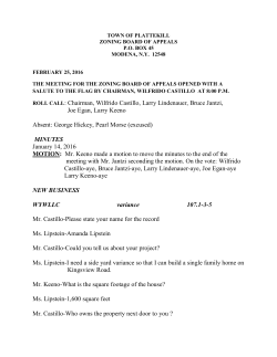 ROLL CALL: Chairman, Wilfrido Castillo, Larry Lindenauer, Bruce