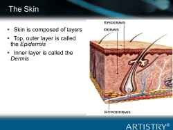 The Skin