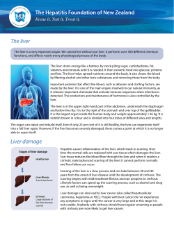 Liver - Hepatitis Foundation