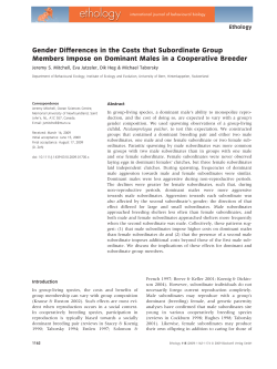 Gender Differences in the Costs that Subordinate Group Members