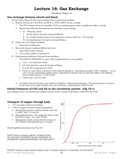 Lecture 16: Gas Exchange