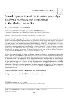 Sexual reproduction of the invasive green alga - Archimer