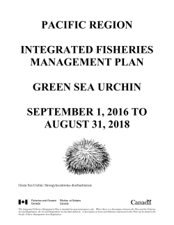 Green Sea Urchin 2016 IFMP