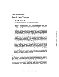 The Mechanism of Isotonic Water Transport