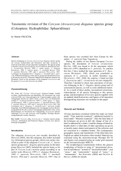 Taxonomic revision of the Cercyon (Arcocercyon) dieganus species