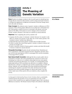 Beta Globin Gene&mdash;Person B