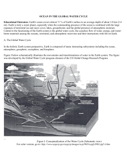 ocean in the global water cycle
