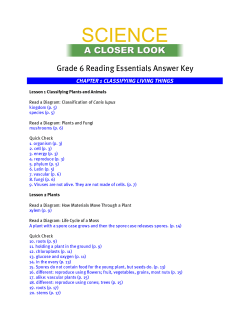 Grade &copy; Reading Essentials Answer Key CHAPTER i
