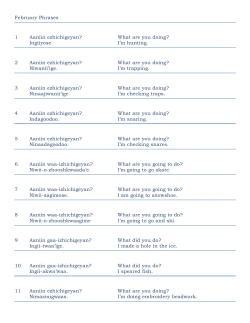 February Phrases 1 Aaniin ezhichigeyan? What are you doing