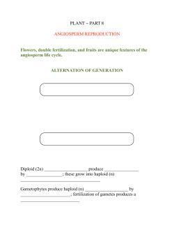 Note Guide Angiosperm Reproduction Part 8