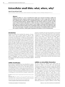 Extracellular small RNAs - Biochemical Society Transactions