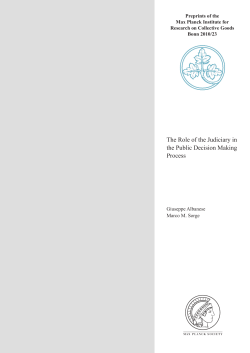 The Role of the Judiciary in the Public Decision Making Process