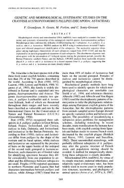 GENETIC AND MORPHOLOGICAL SYSTEMATIC STUDIES ON