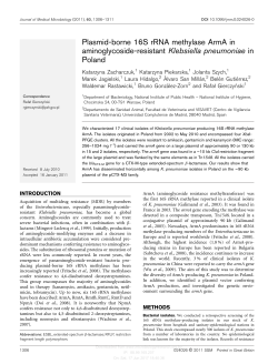 Plasmid-borne 16S rRNA methylase ArmA in aminoglycoside