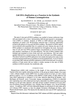 Cell DNA Replication as a Function in the Synthesis of Human