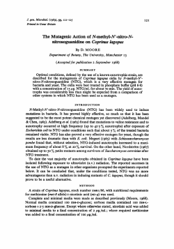 The Mutagenic Action of N-methyl-W-nitro-N