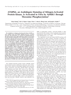 ATMPK4, an Arabidopsis Homolog of Mitogen