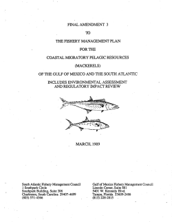 Coastal Migratory Pelagics Amendment 3