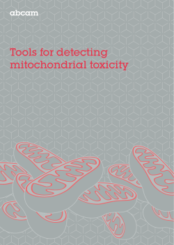 Tools for detecting mitochondrial toxicity