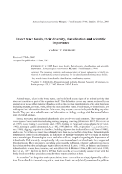 Insect trace fossils, their diversity, classification and scientific